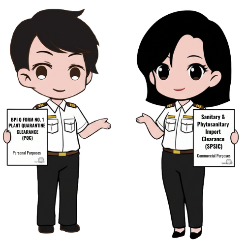 BPI Q Form No. 1 (1)