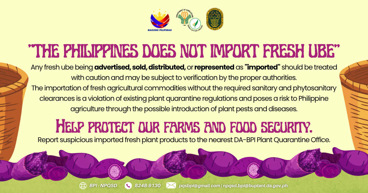 General Public Advisory - Fresh Ube